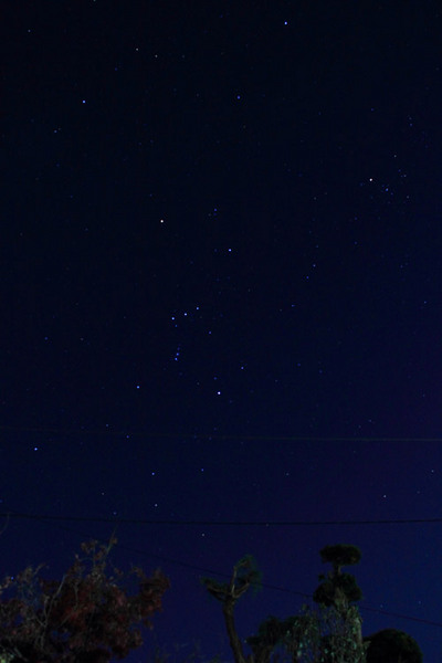 しし座流星群のサムネール画像
