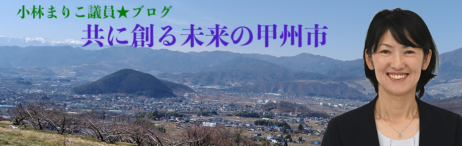 小林まりこ★議員ブログ